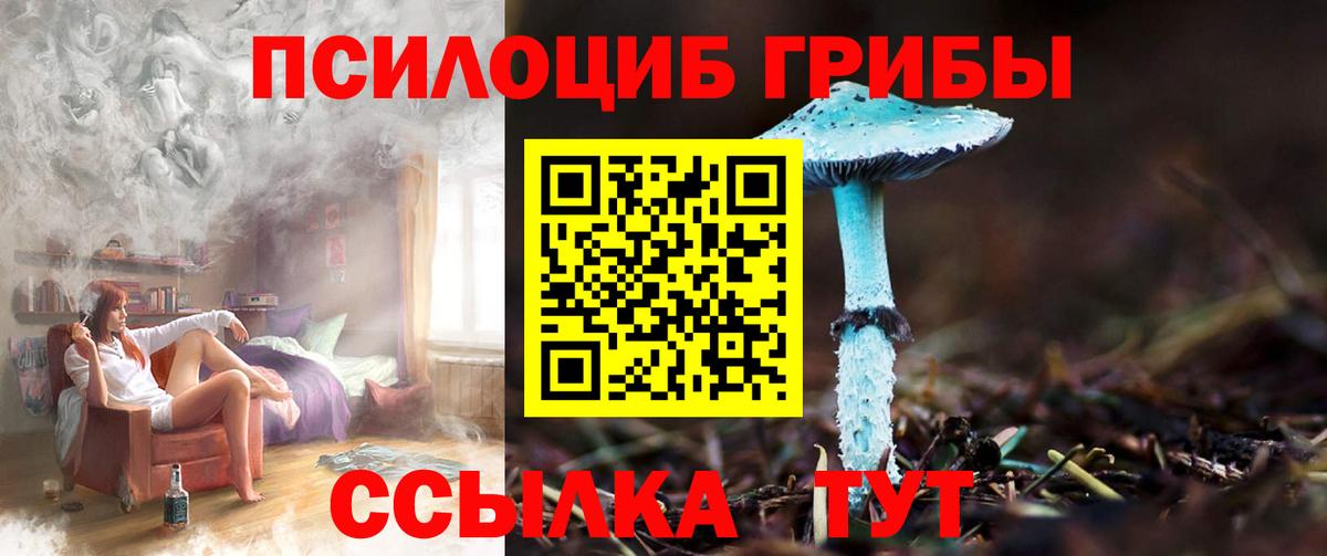 Лесосибирск  Галлюциногенные грибы MAGIC MUSHROOMS  Вход с VPN 